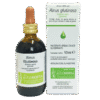 Alnus glutinosa Fitosofia, gemmoderivato di Ontano nero da gemme fresche, flacone in vetro 50 ml con contagocce