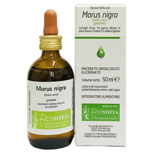 Macerato glicerico di Morus nigra - gelso nero