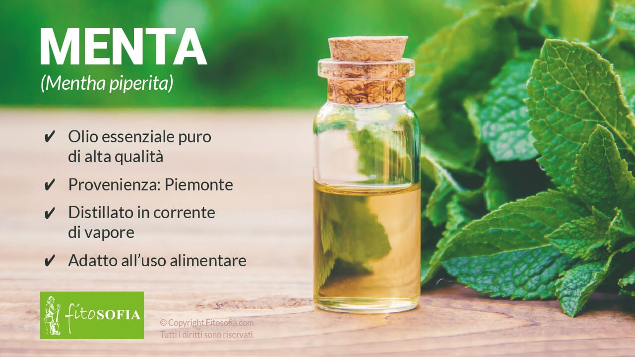 Olio essenziale di Menta Piemonte alta qualità alimentare