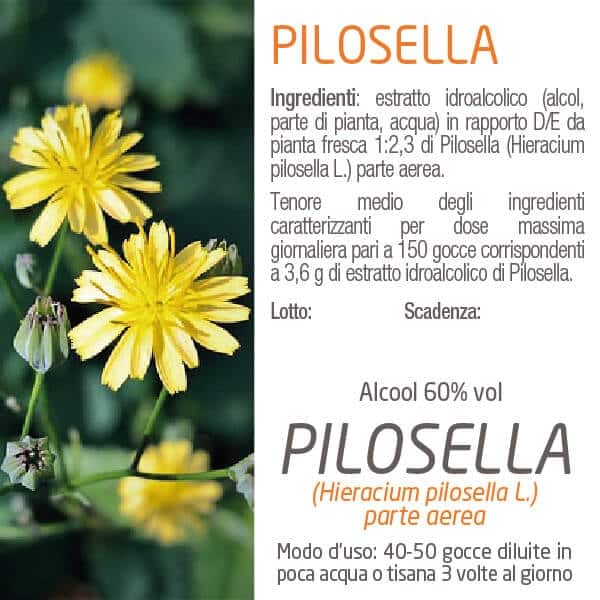 Tintura di Pilosella posologia ingredienti fiori