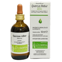 Macerato glicerico di Quercus robur