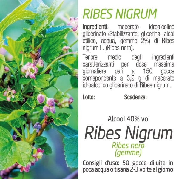 Ribes Nigrum gocce posologia