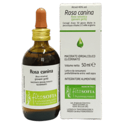 Macerato glicerico di Rosa canina