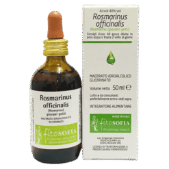 Macerato glicerico di Rosmarinus officinalis