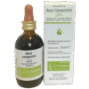 cer campestris Fitosofia, macerato glicerico di gemme di Acero campestre, flacone in vetro da 50 ml con contagocce