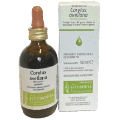 corylus avellana macerato glicerico