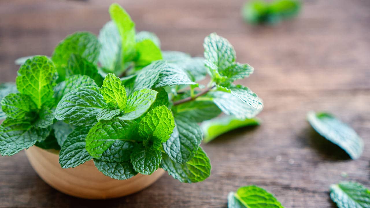 Sbarazzarsi dell’acne giovanile con la menta acne giovanile rimedi naturali efficaci