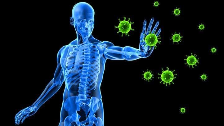 Rafforzare sistema immunitario