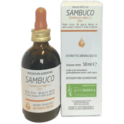 Sambuco tintura madre