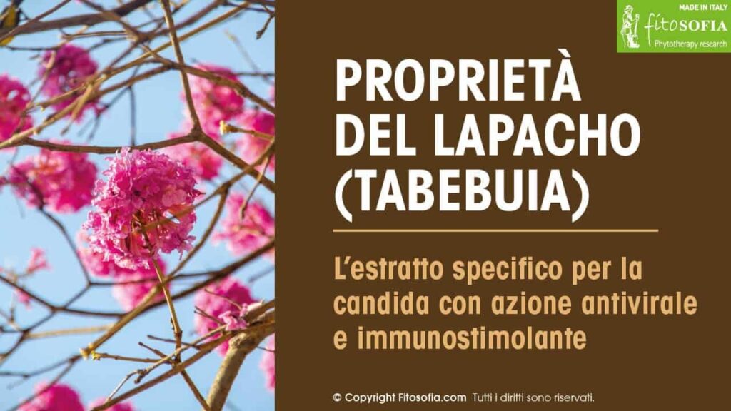 Lapacho proprietà curative