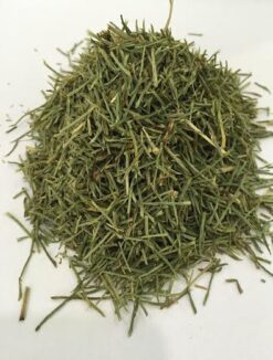 Fusti sterili di Equiseto essiccati in taglio tisana, su sfondo bianco.