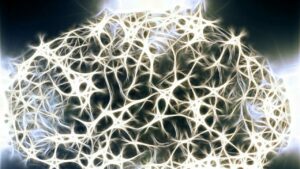 La neuroimmunologia collega l’inappetenza con i sintomi influenzali