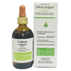 Gemmoderivato di Calluna Vulgaris