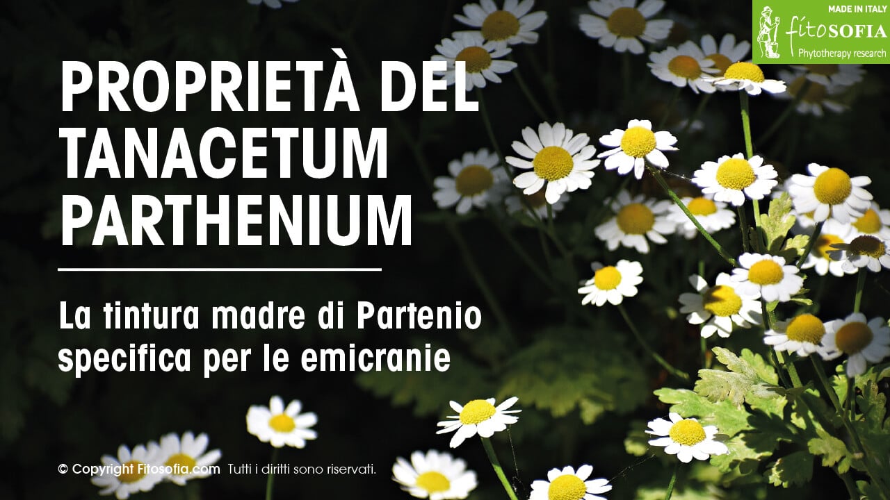 Tanacetum Parthenium proprietà emicrania