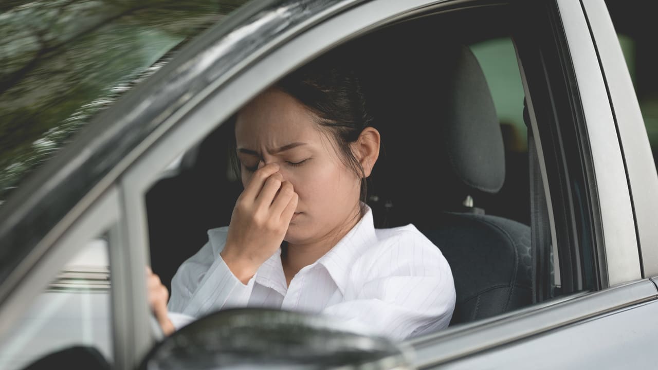Zenzero e nausea: effetti per mal d'auto, mal di mare e mal d'aria