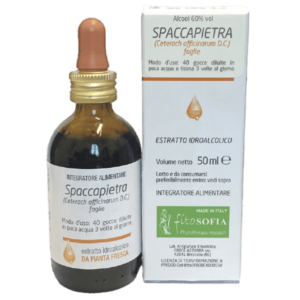 Tintura madre spaccapietra (cedracca)