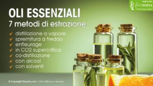 Estrazione oli essenziali