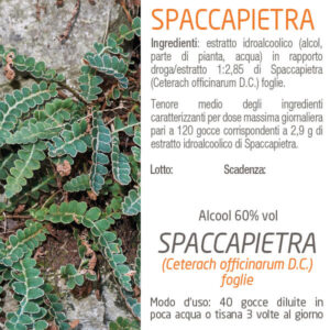 Erba Vita Spaccapietra 50 Cps Fornari Sport - Foto 7