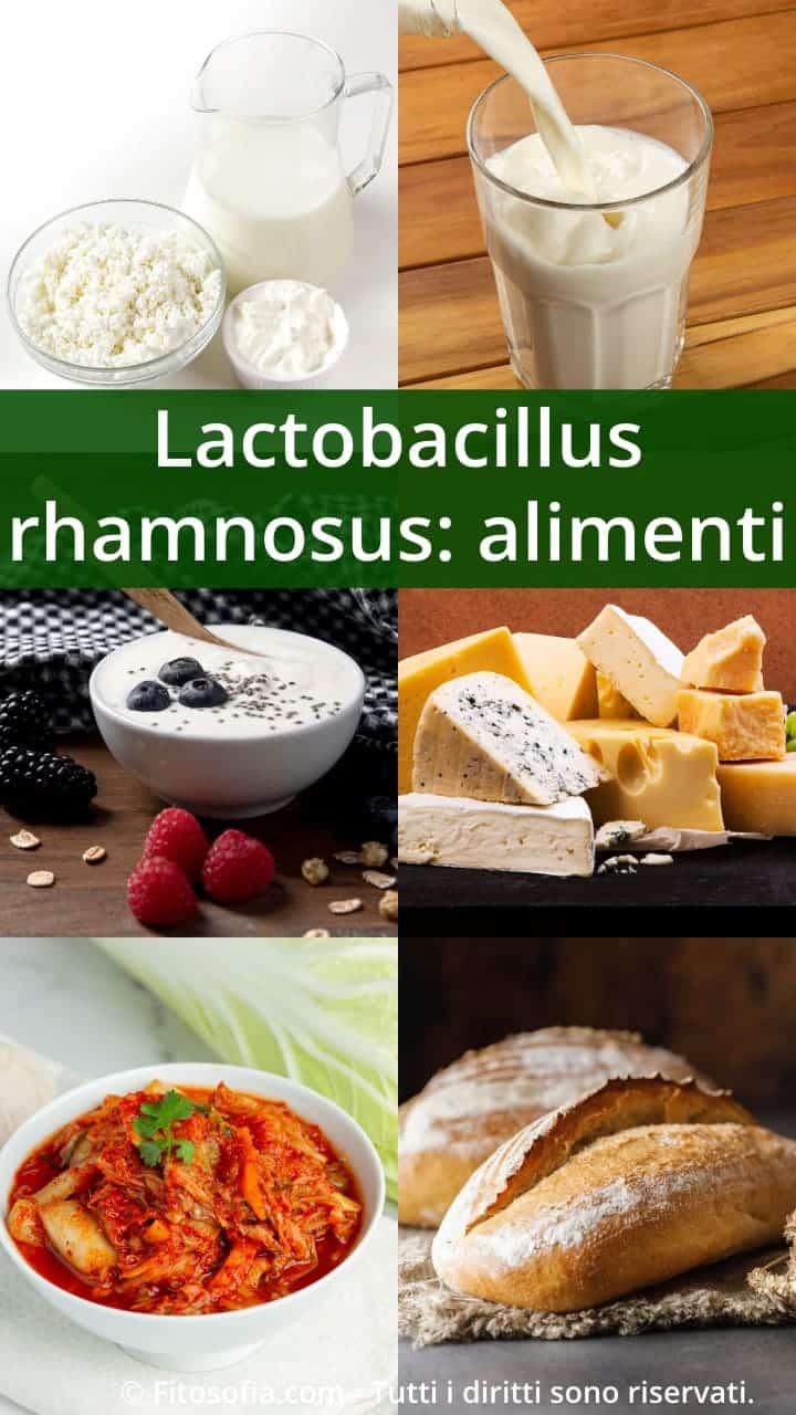 Lactobacillus rhamnosus dove si trova