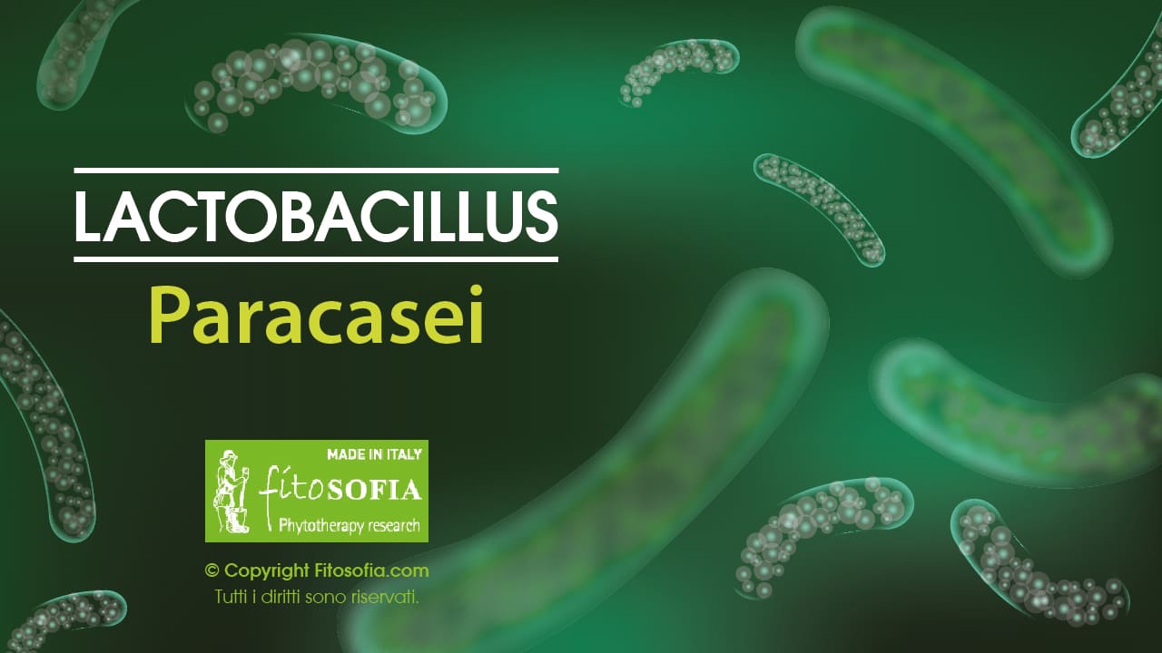 Lactobacillus paracasei a cosa serve Fitosofia®