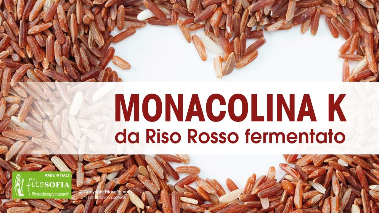riso rosso fermentato effetti collaterali