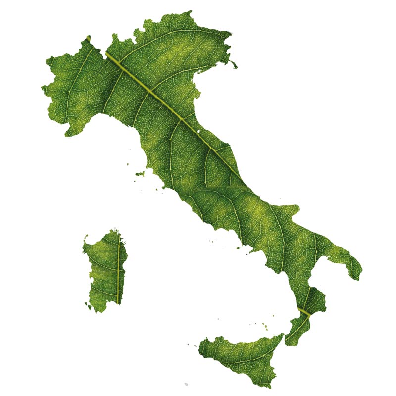 Qualità prodotti erboristici italiani