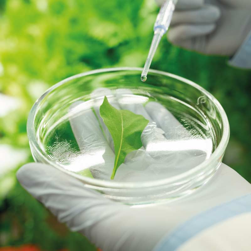 Standard di qualità elevati