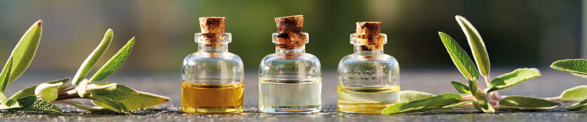 Oli vegetali e oleoliti erboristeria