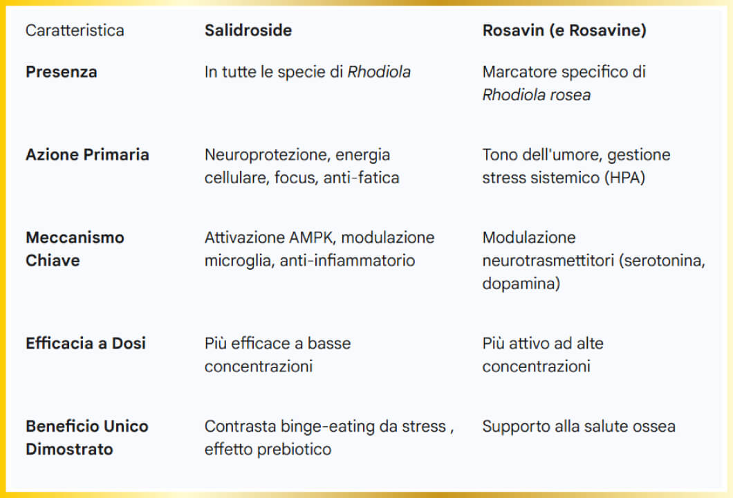 Confronto tra Salidroside e Rosavin che mostra i benefici unici del Salidroside per neuroprotezione, energia e contrasto al binge-eating.