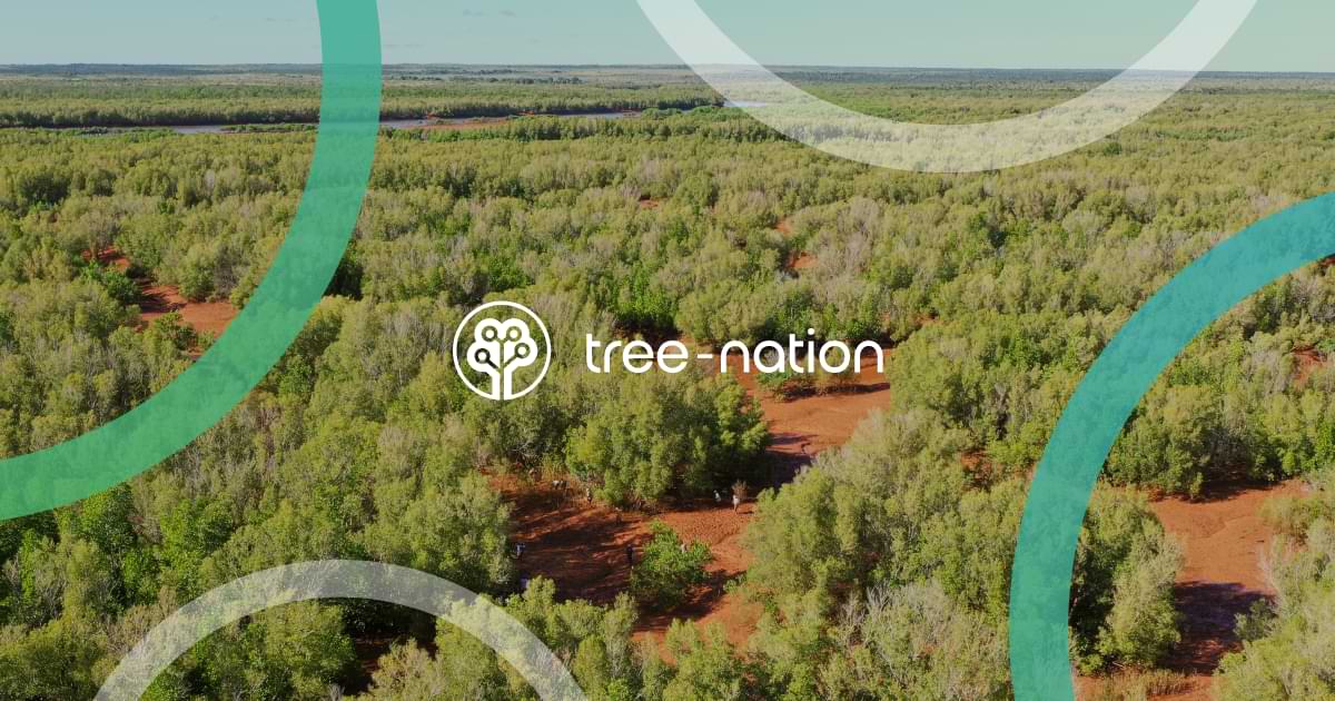 Progetto Fitosofia riforestazione con Tree Nation